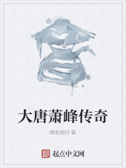 大唐萧峰传奇